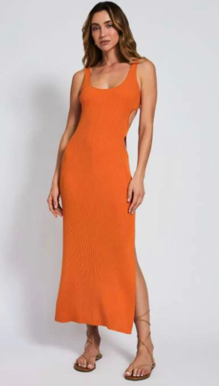 Shop Devon Windsor Avani Dress in Tangerine