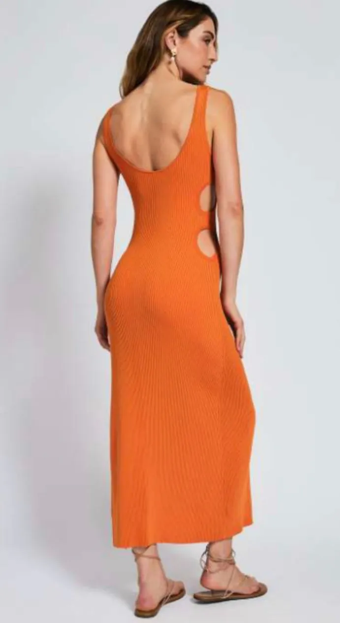 Shop Devon Windsor Avani Dress in Tangerine