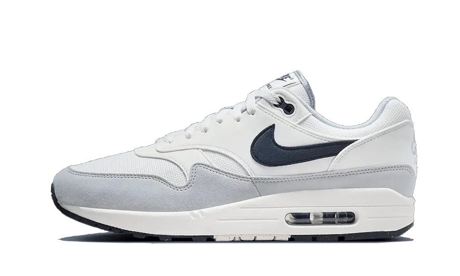 Nike Air Max 1 Platinum Gray