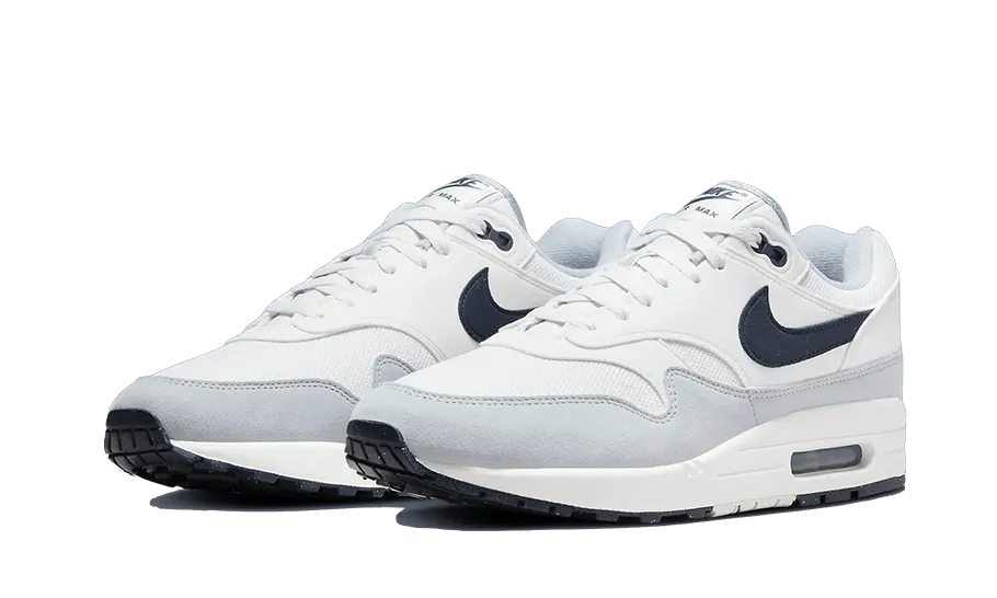 Nike Air Max 1 Platinum Gray