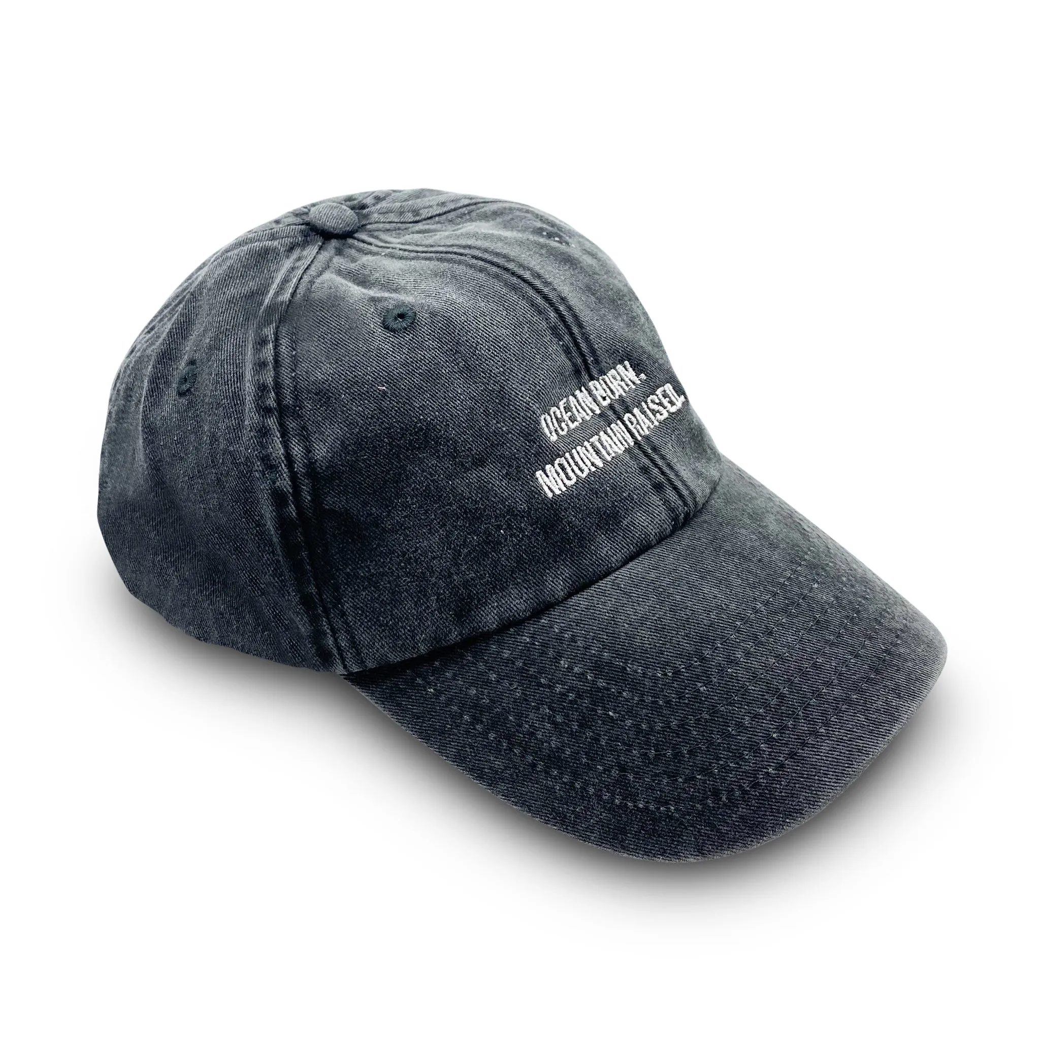 Charcoal Roadie Cap