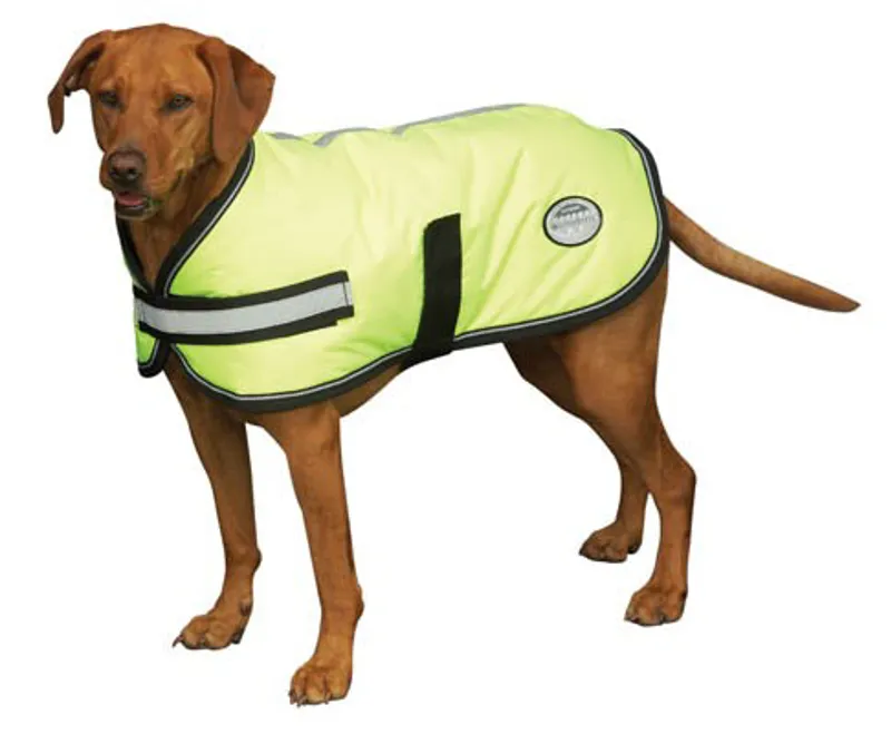 Weatherbeeta Parka Dog Coat - Bright Neon Yellow