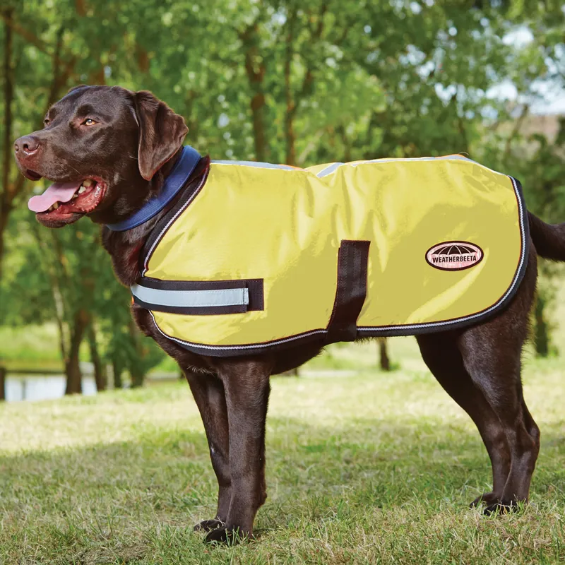 Weatherbeeta Parka Dog Coat - Bright Neon Yellow