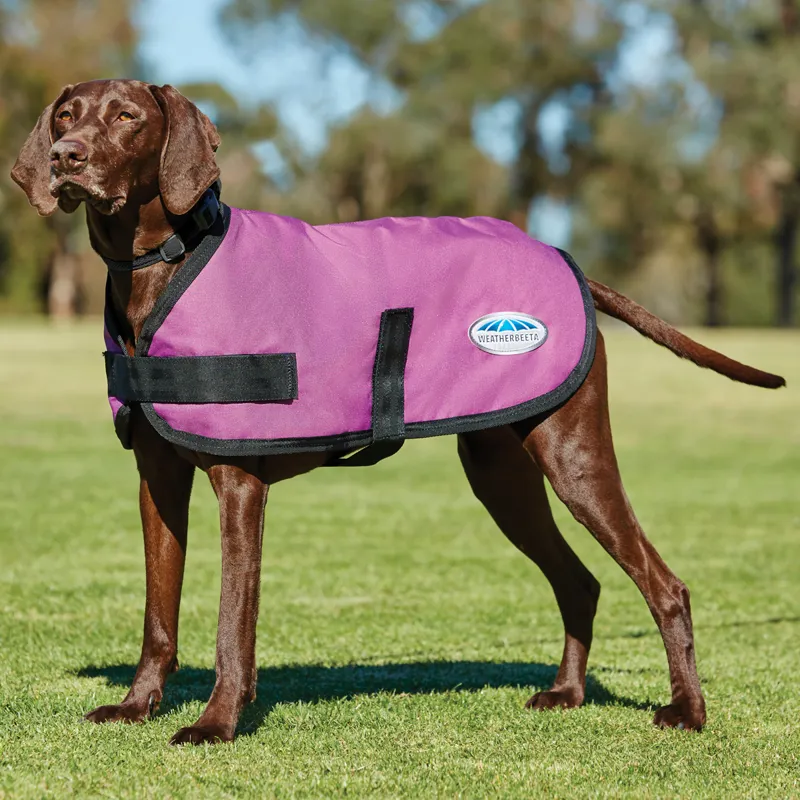 WeatherBeeta Pink Dog Coat